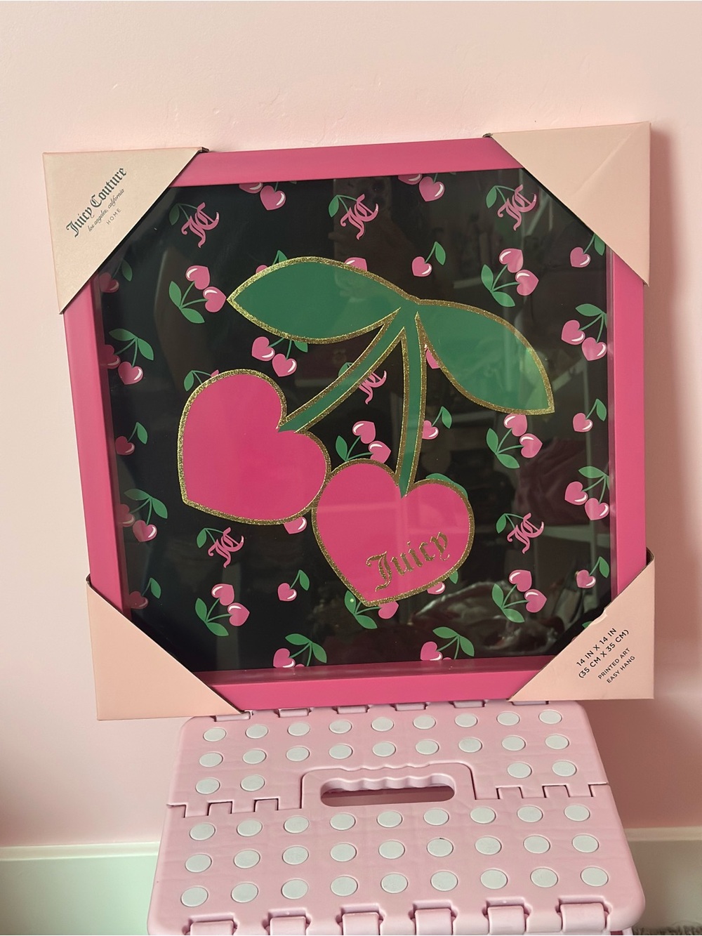 Juicy Couture Pink & Black Cherry Wall Art🍒
